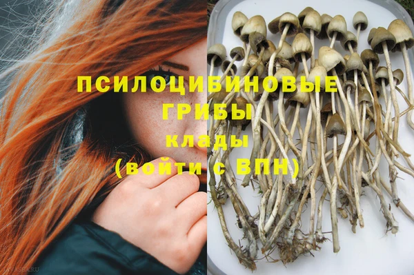 МДПВ Баксан
