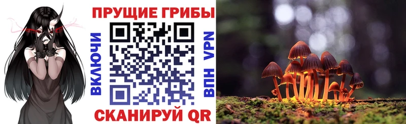 Псилоцибиновые грибы мицелий  как найти закладки  Гороховец 
